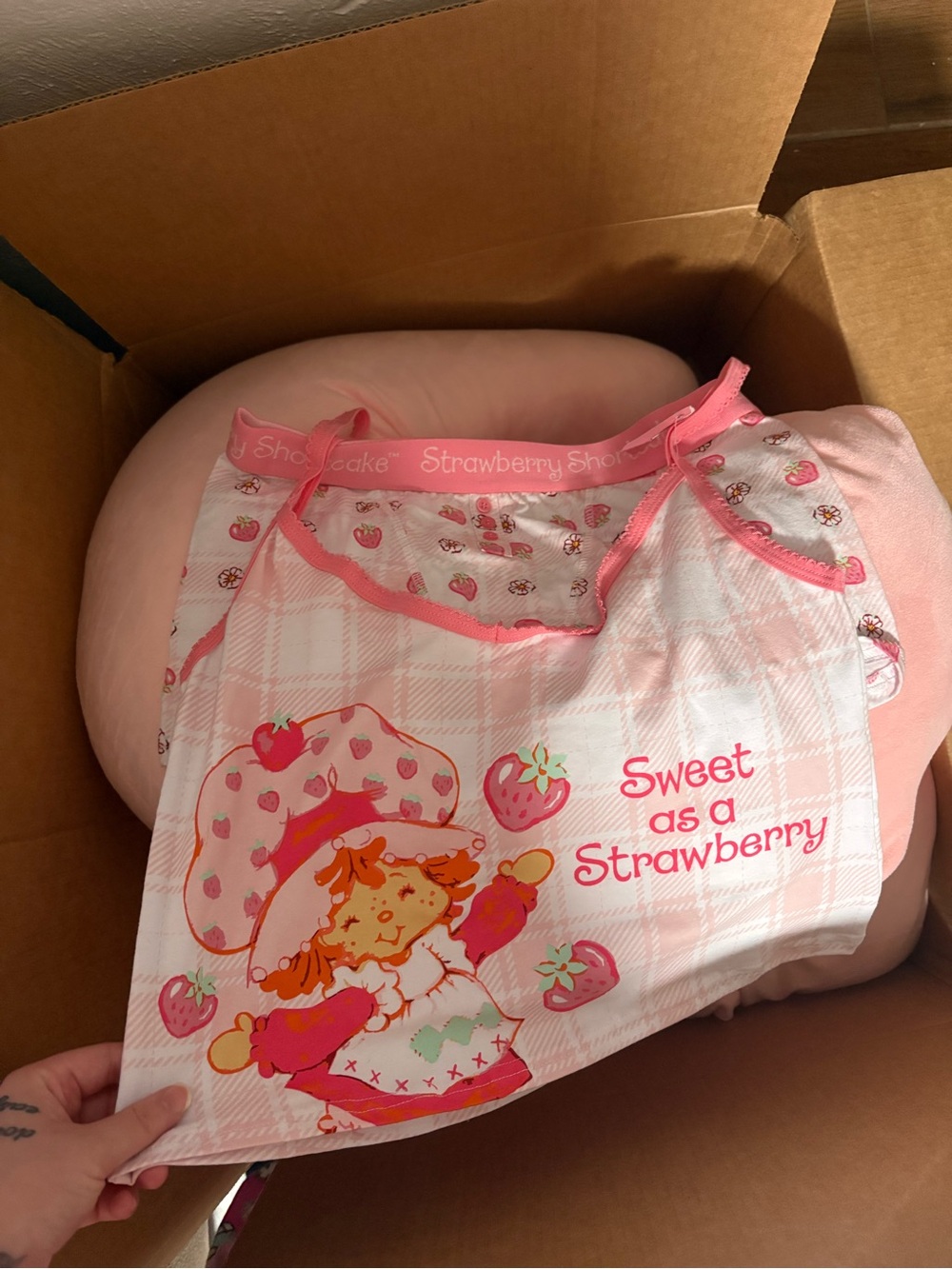 Strawberry Shortcake Pink Baby Bib "Sweet as a Strawberry"